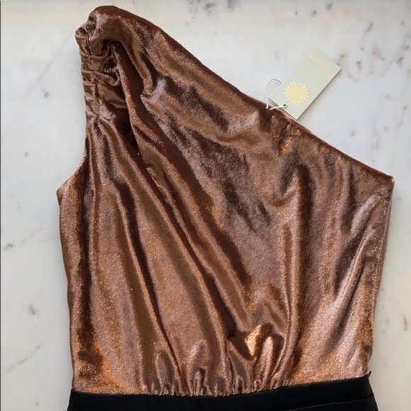 Ramy Brook Gold and Black Elegant Jumpsuit - Picture 11 of 16